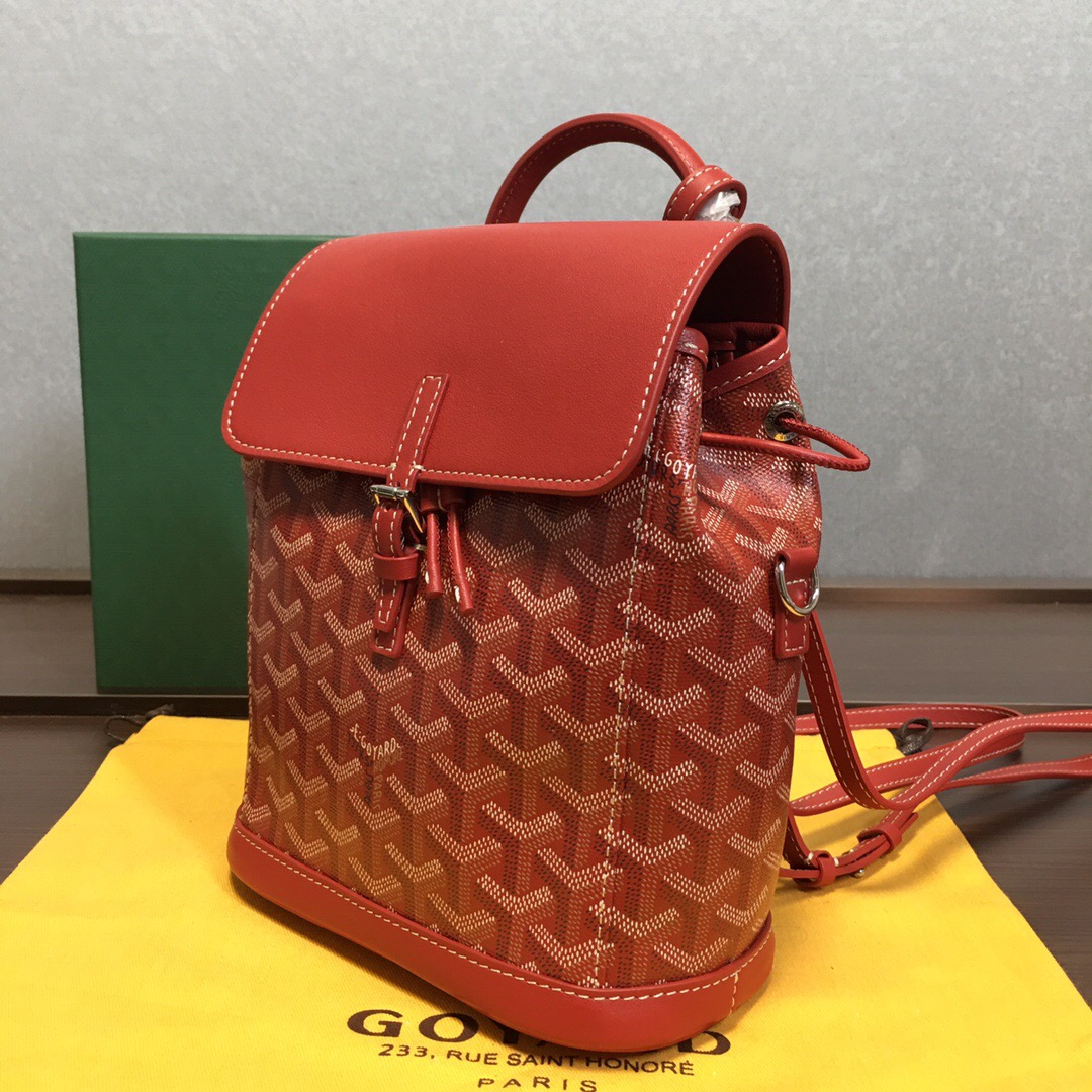 Go*ard backpack