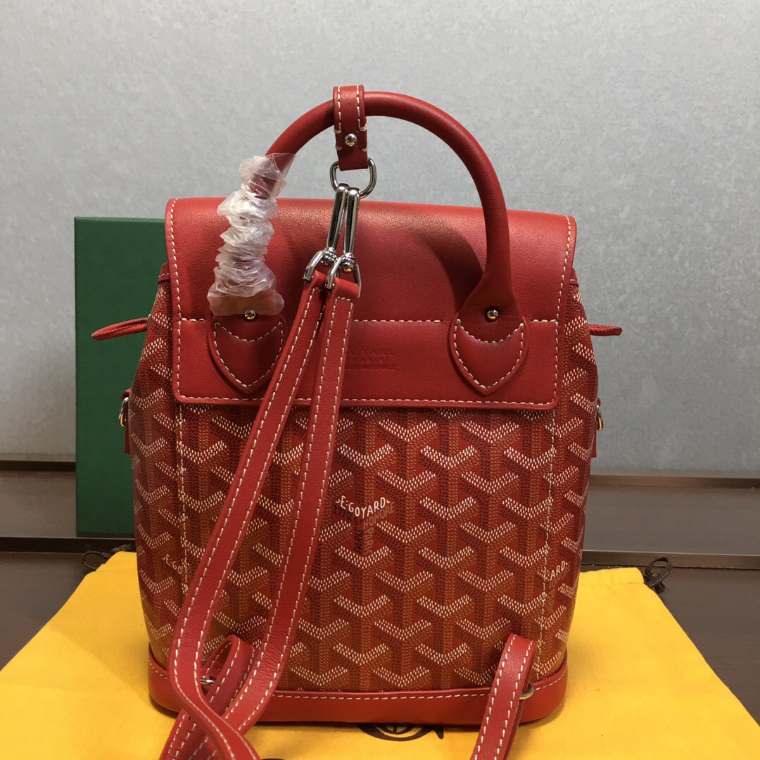 Go*ard backpack