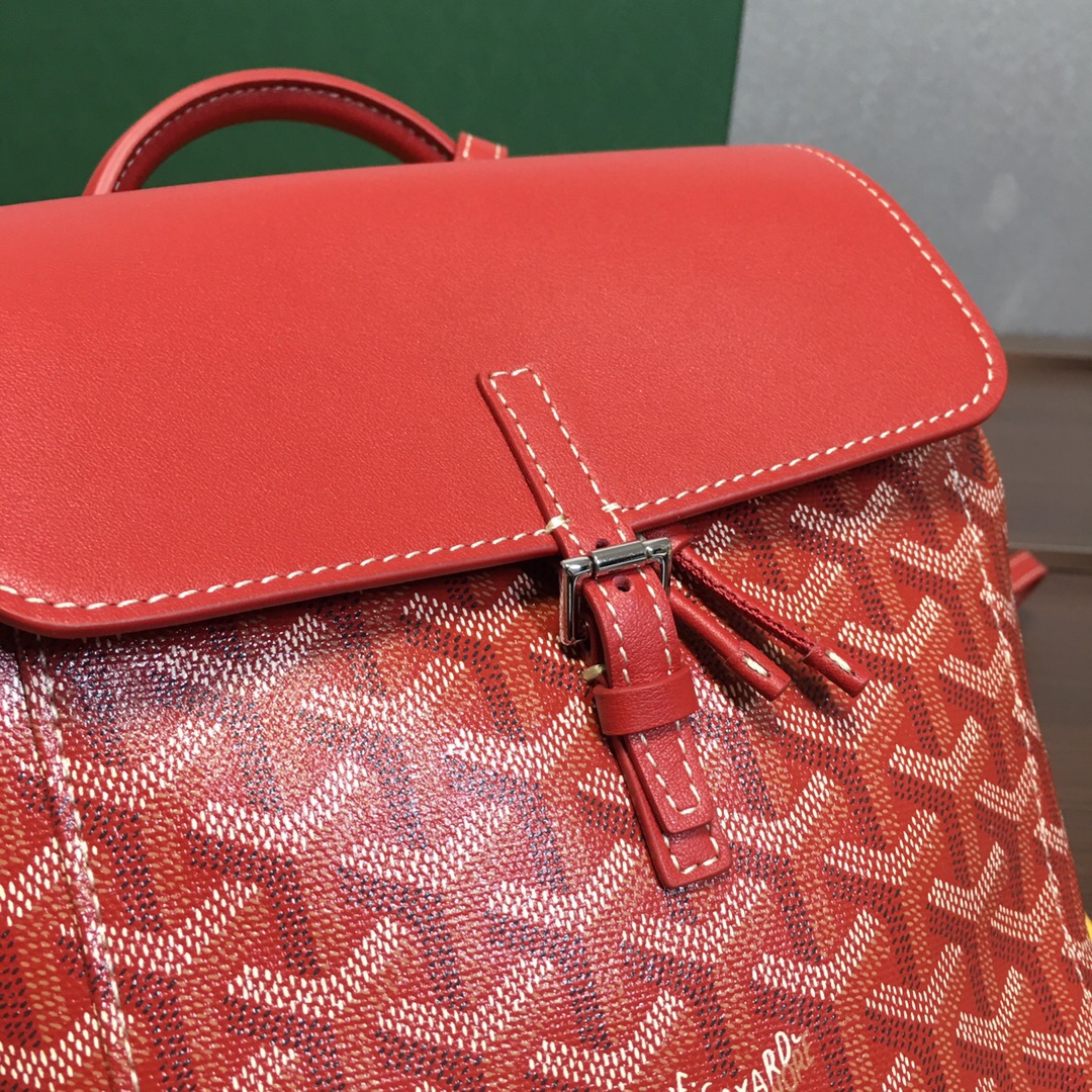 Go*ard backpack