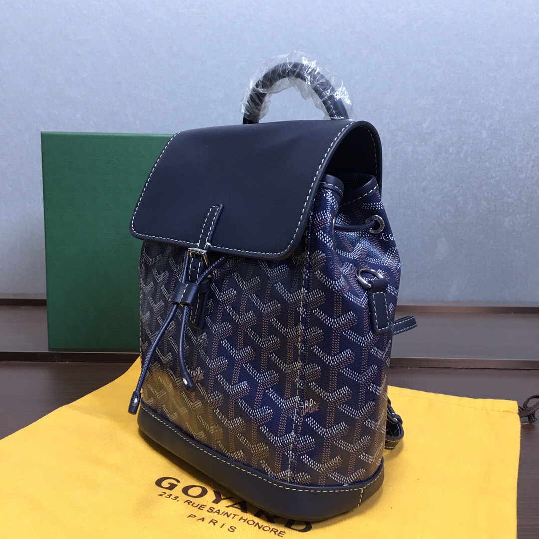 Go*ard backpack