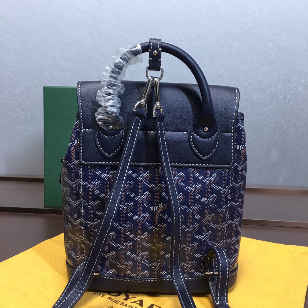 Go*ard backpack