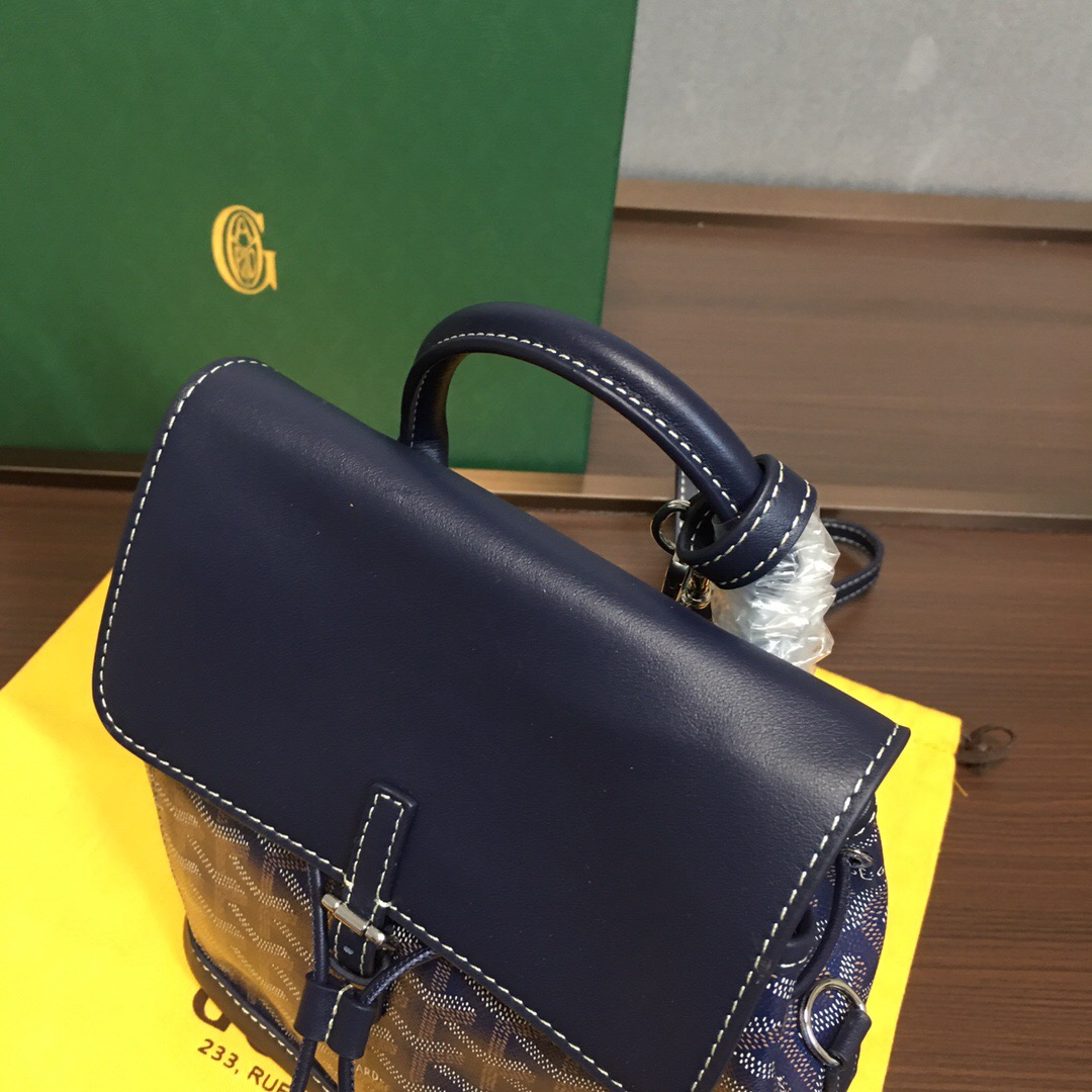 Go*ard backpack