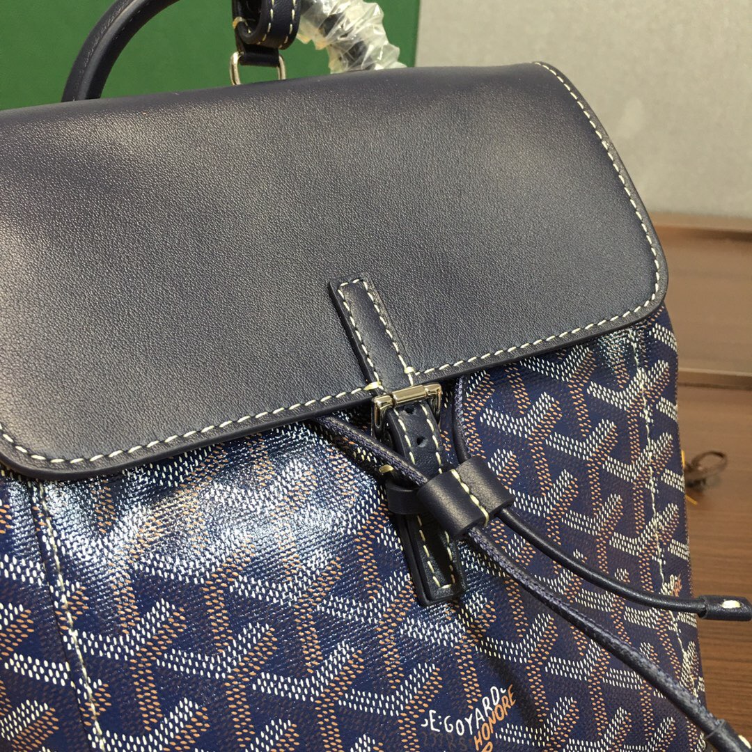 Go*ard backpack