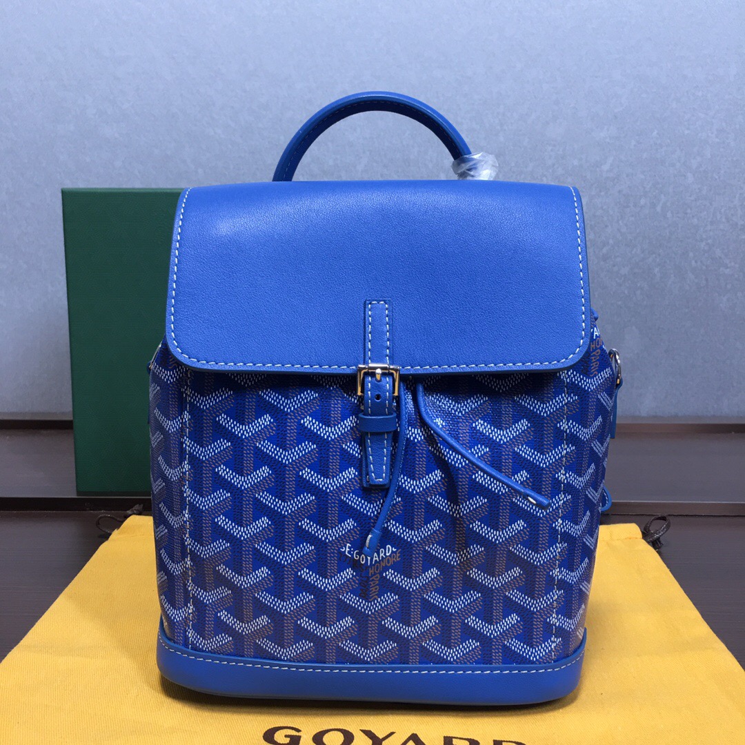 Go*ard backpack