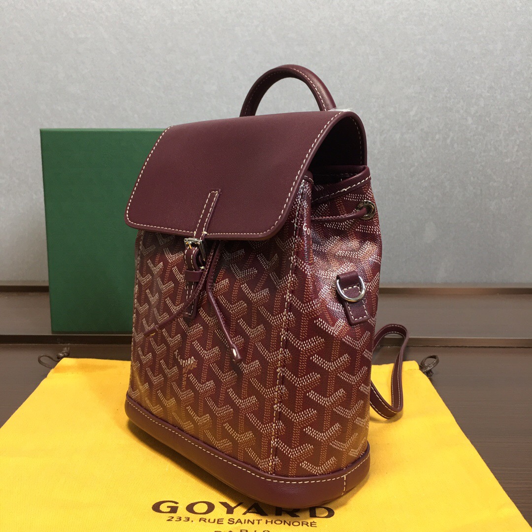 Go*ard backpack