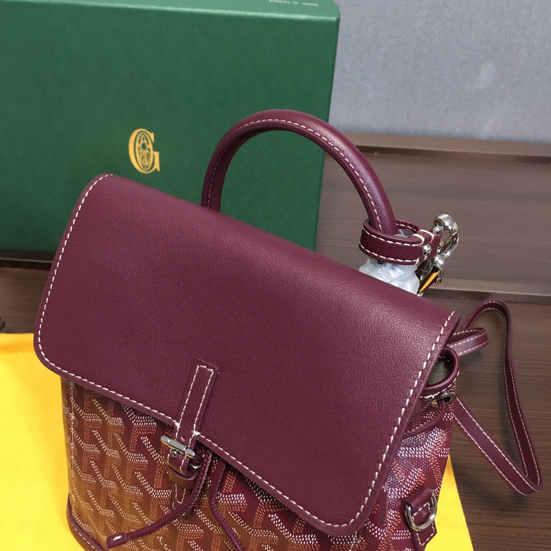 Go*ard backpack