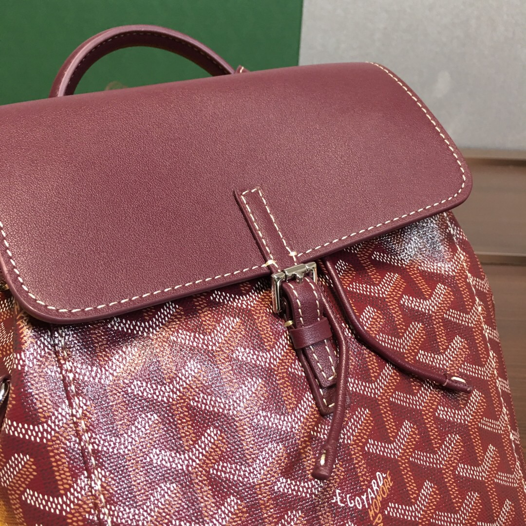 Go*ard backpack