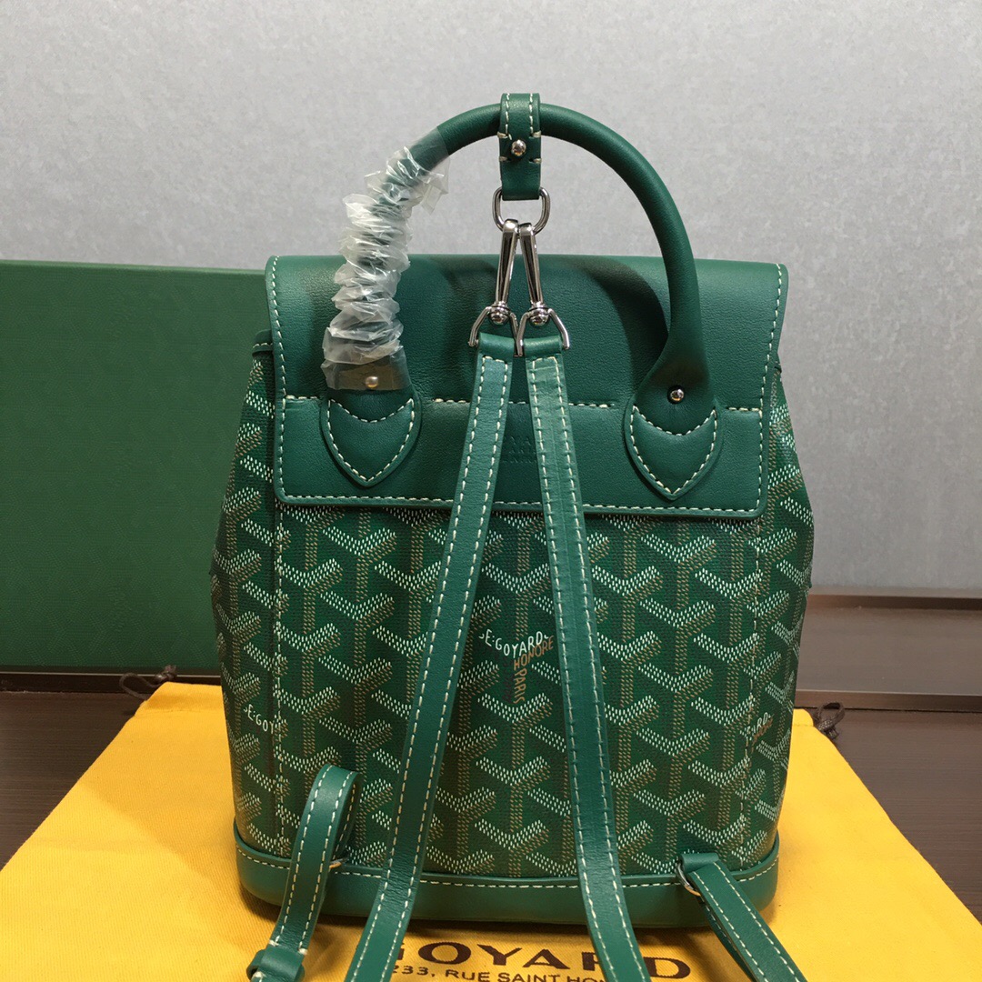 Go*ard backpack