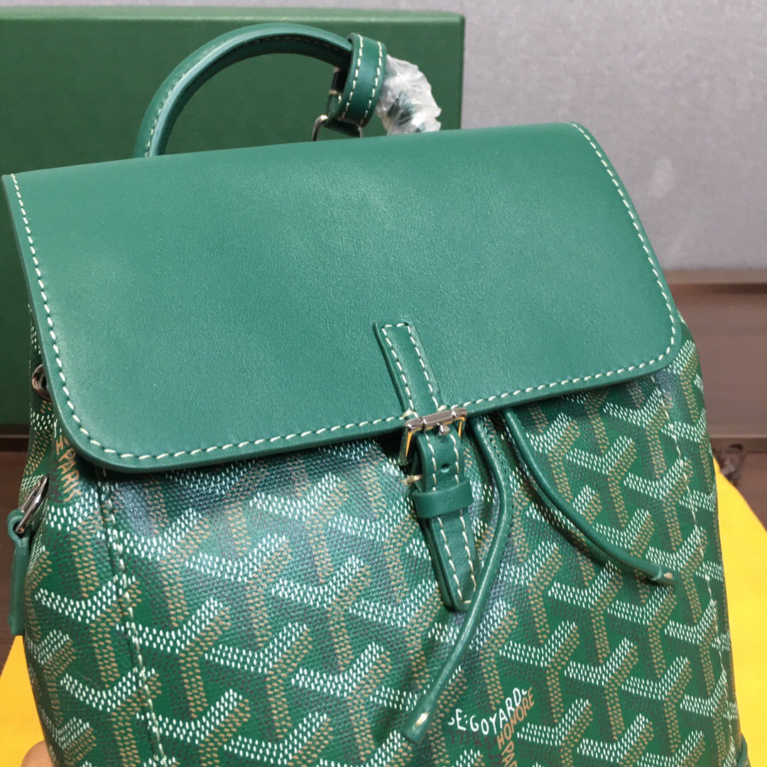 Go*ard backpack