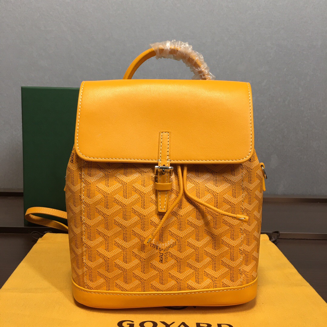 Go*ard backpack