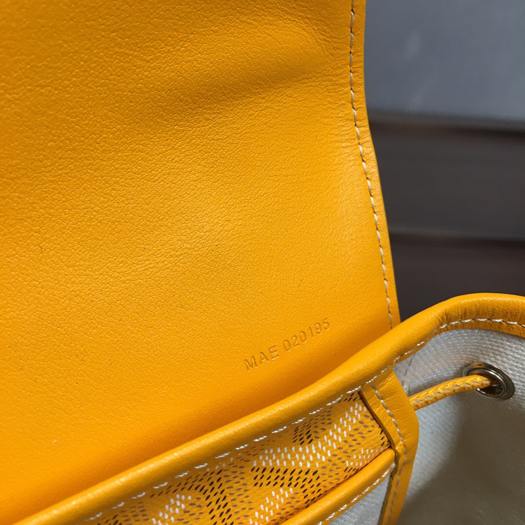 Go*ard backpack