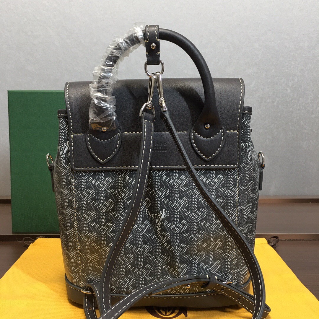 Go*ard backpack