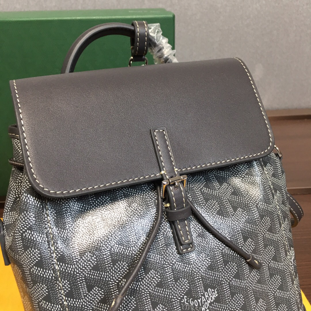 Go*ard backpack