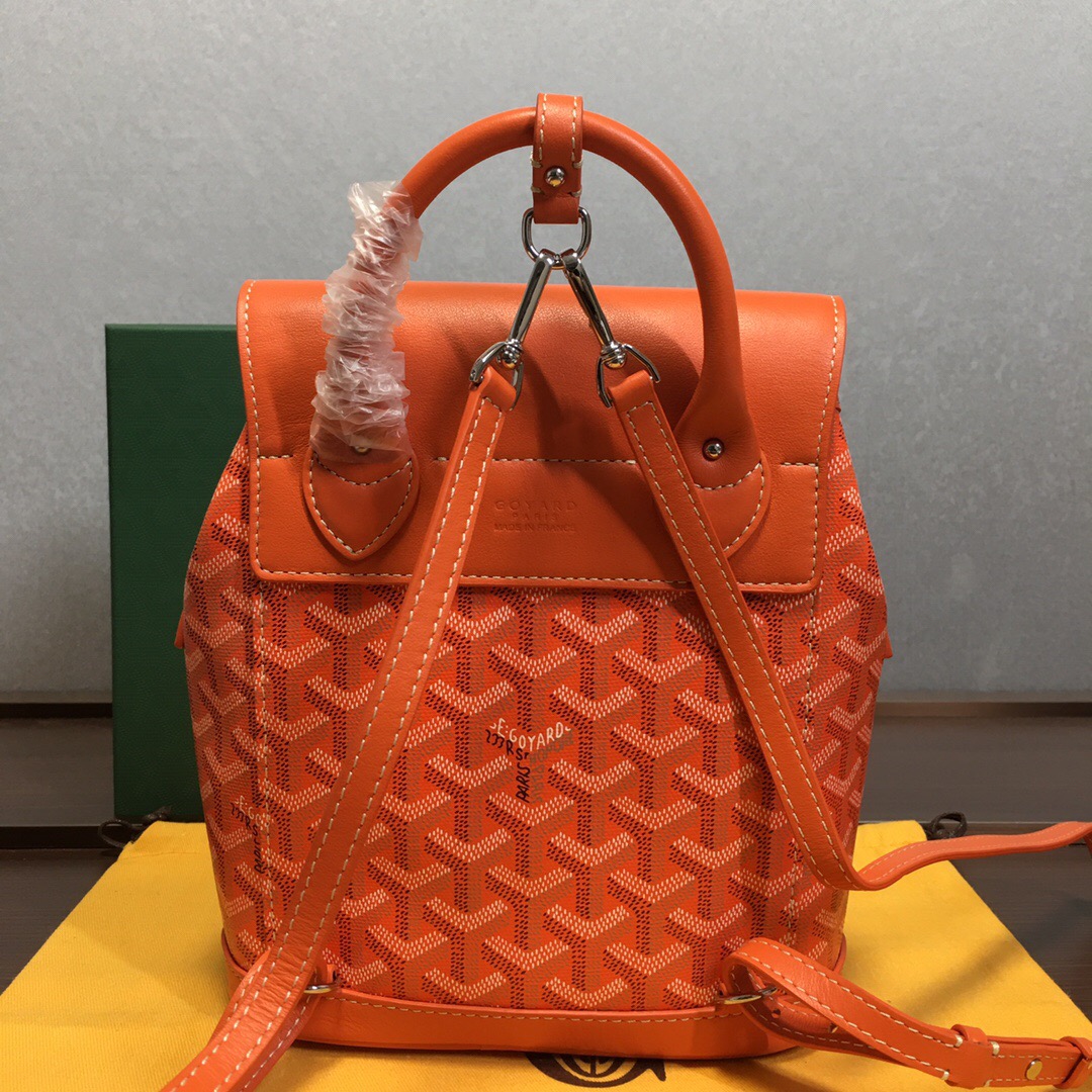 Go*ard backpack