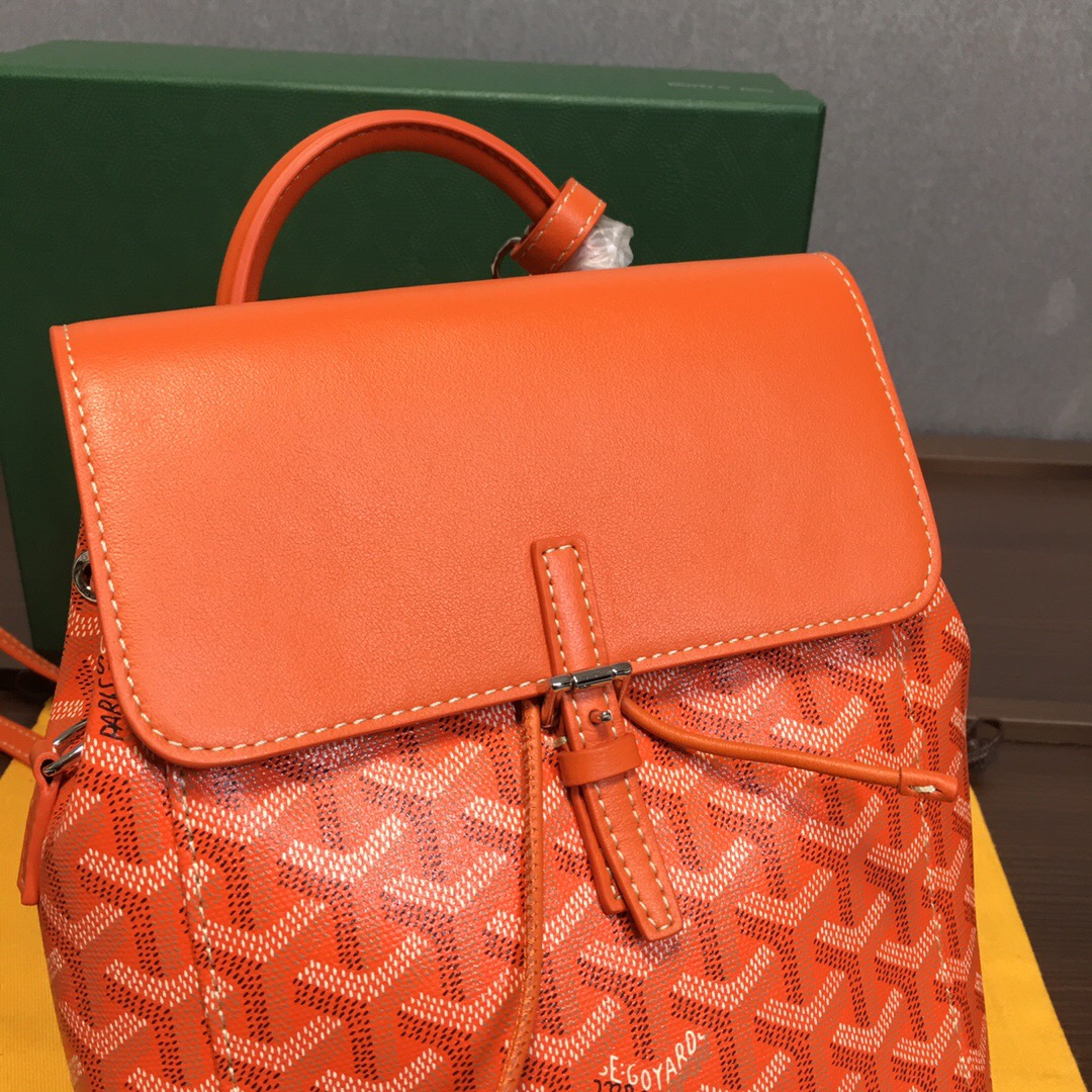 Go*ard backpack