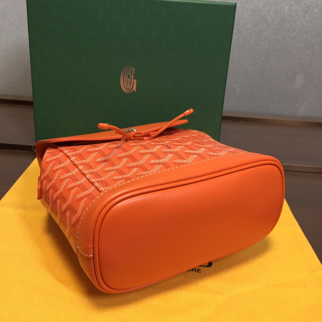 Go*ard backpack