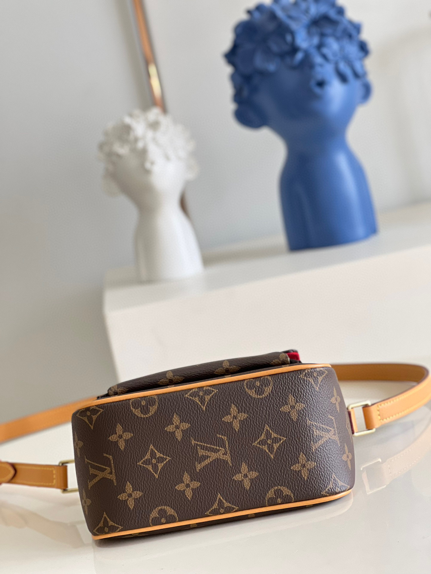 l**is V*t*n viva cite bag