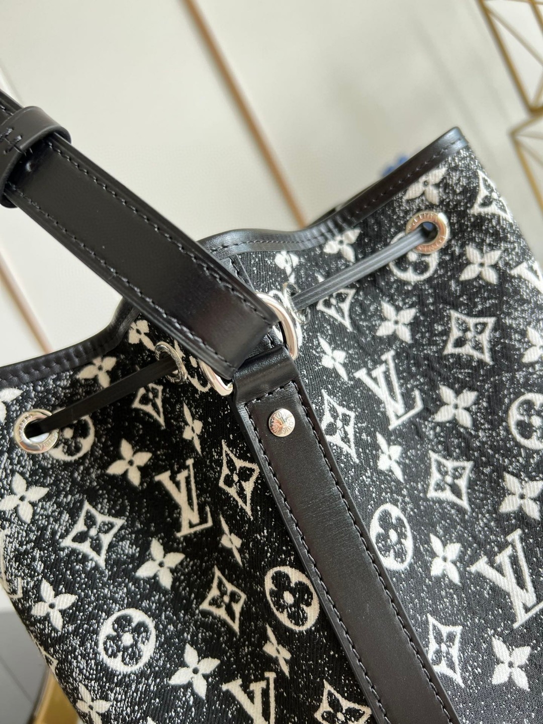 l**is V*t*n noe bag