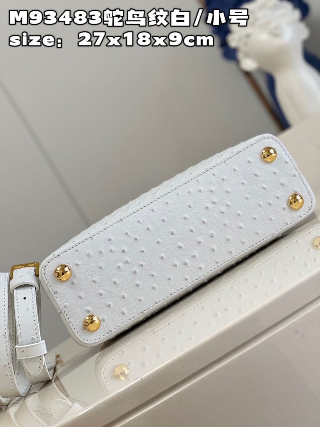 l**is V*t*n capucines bb