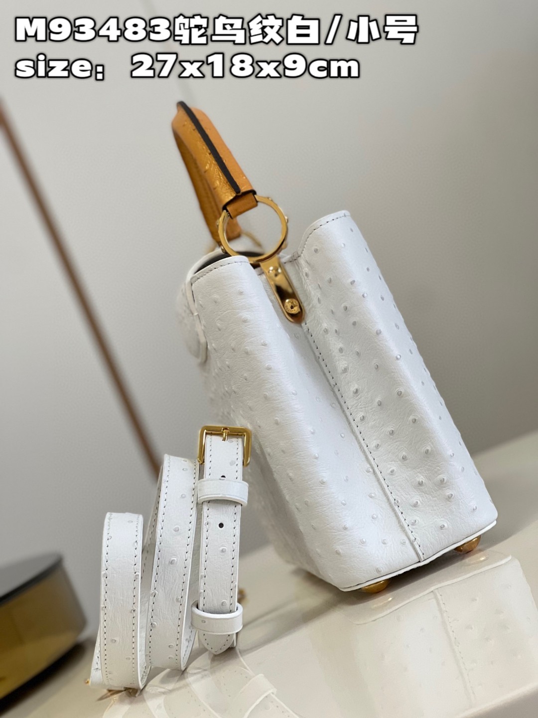 l**is V*t*n capucines bb