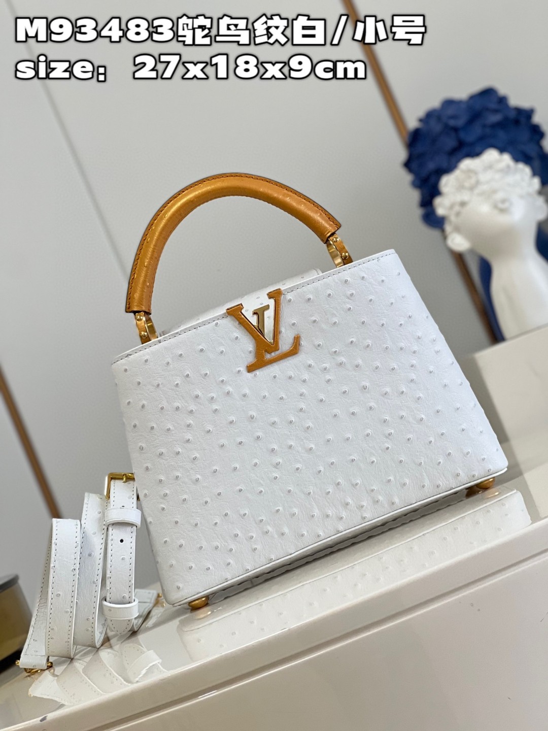 l**is V*t*n capucines bb