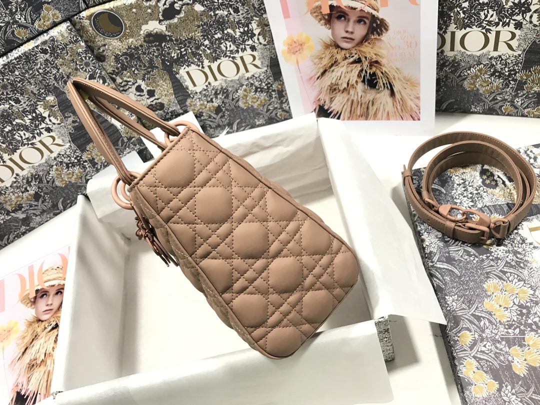 medium lady D*or bag