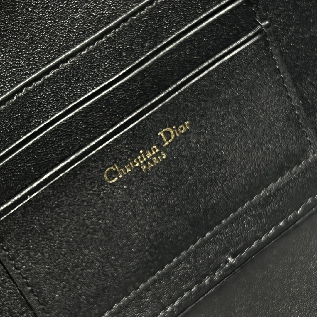 D*or cd signature oval camera bag