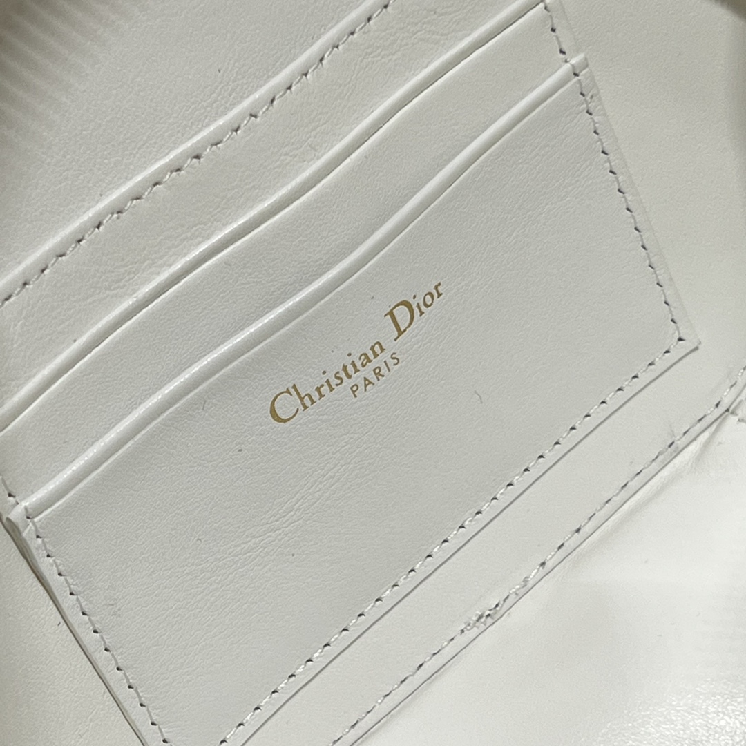 D*or cd signature oval camera bag
