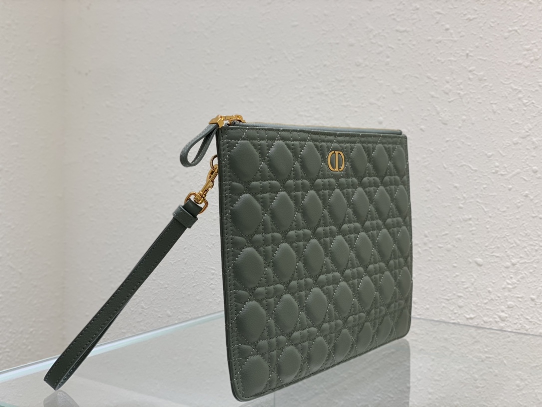 large D*or caro daily pouch