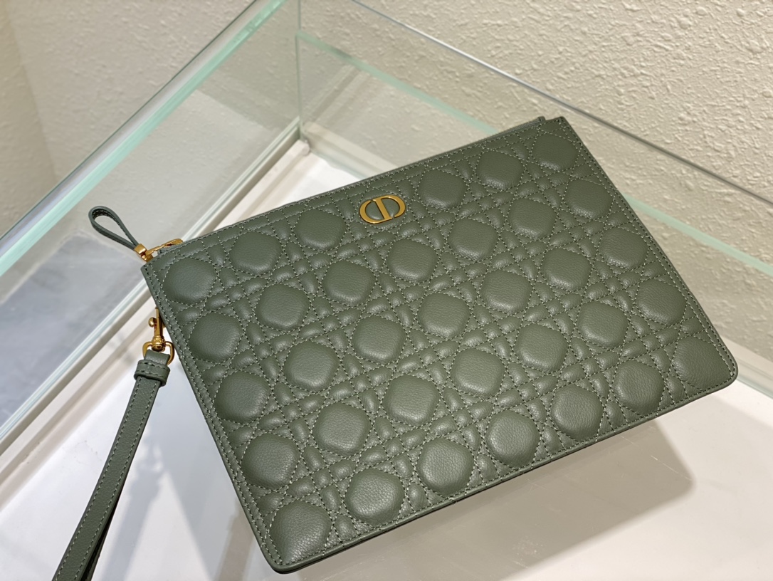 large D*or caro daily pouch