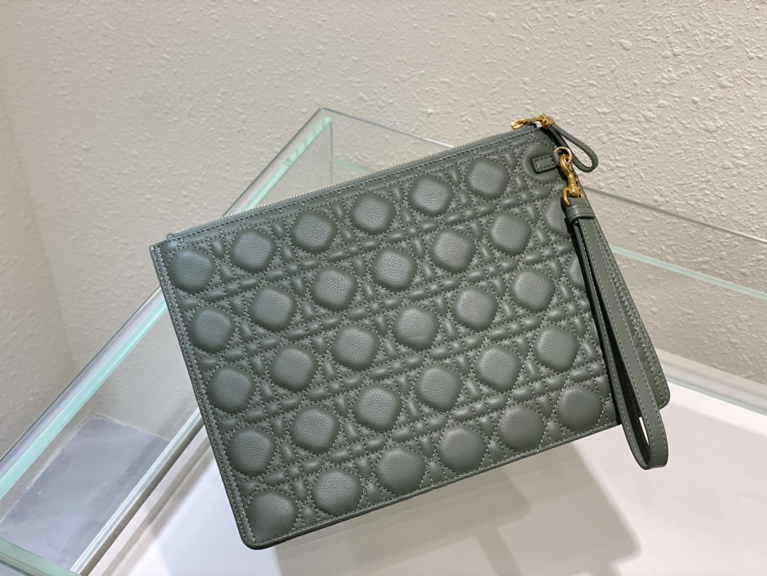 large D*or caro daily pouch