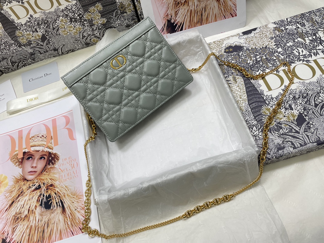 D*or caro zipped pouch with chain