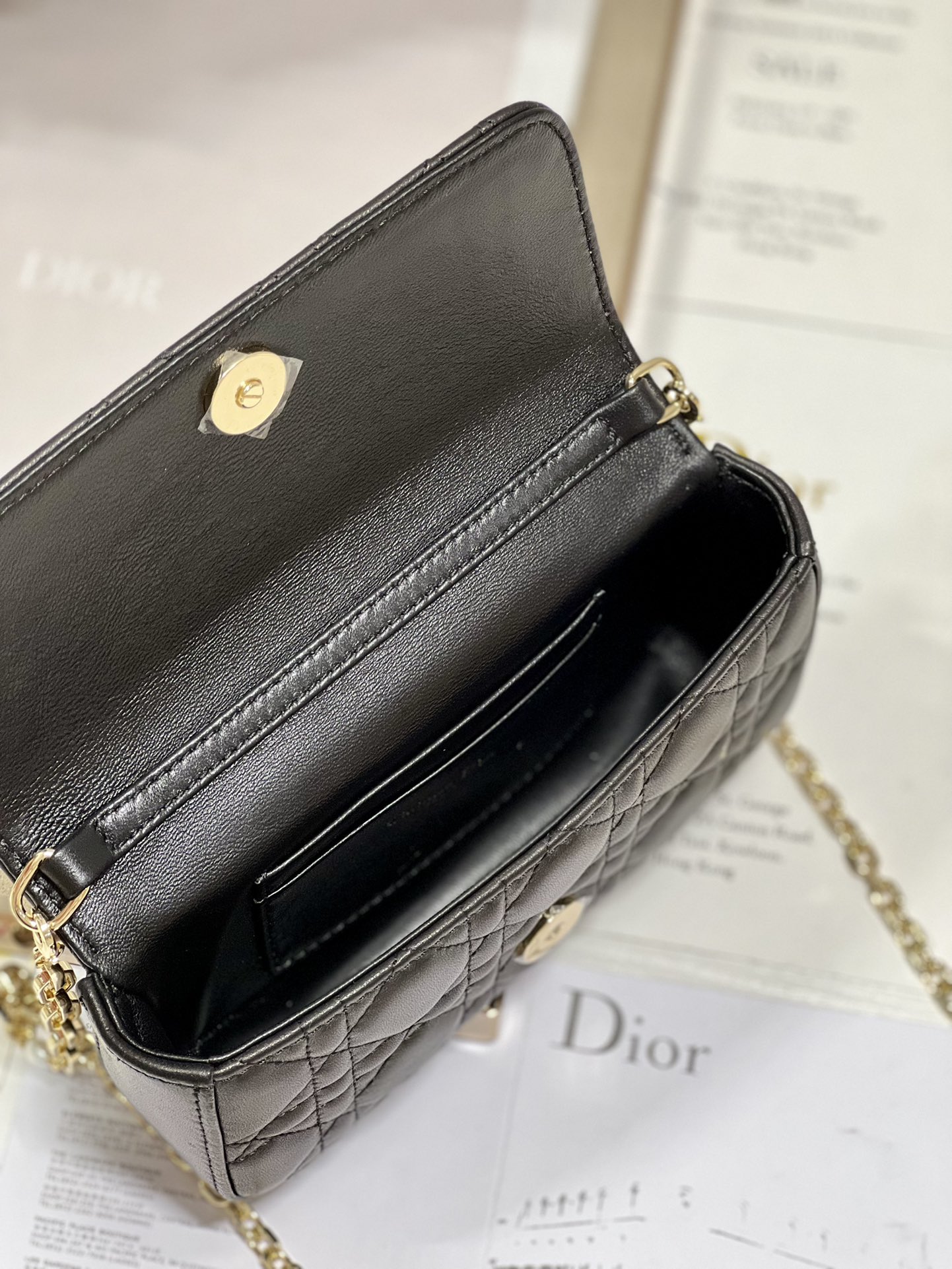 lady D*or phone pouch