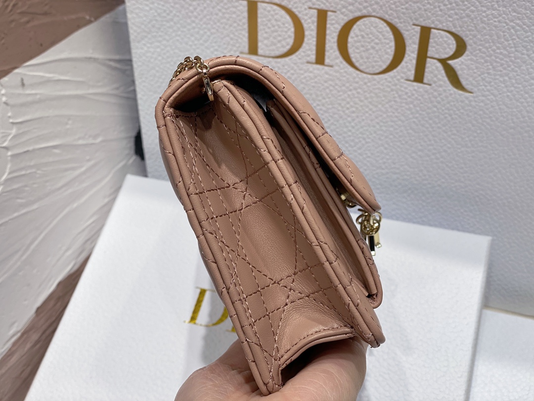 lady D*or chain pouch