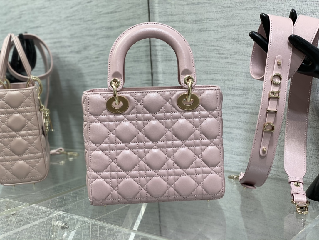 small lady D*or bag
