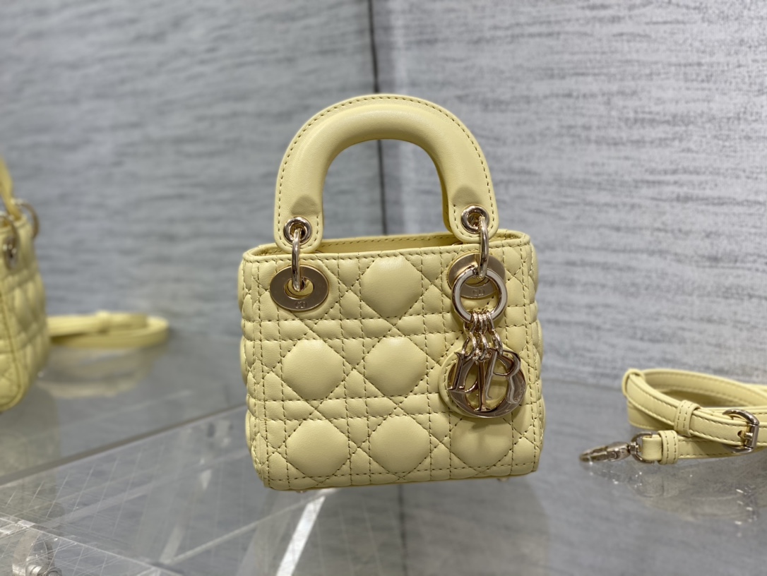 lady D*or micro bag