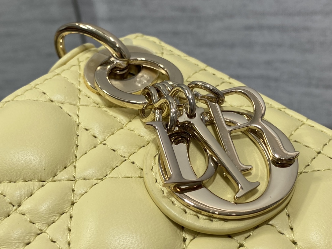lady D*or micro bag