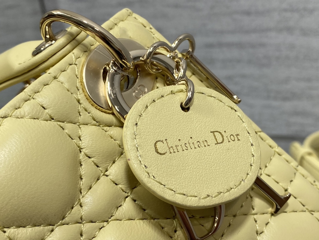 lady D*or micro bag