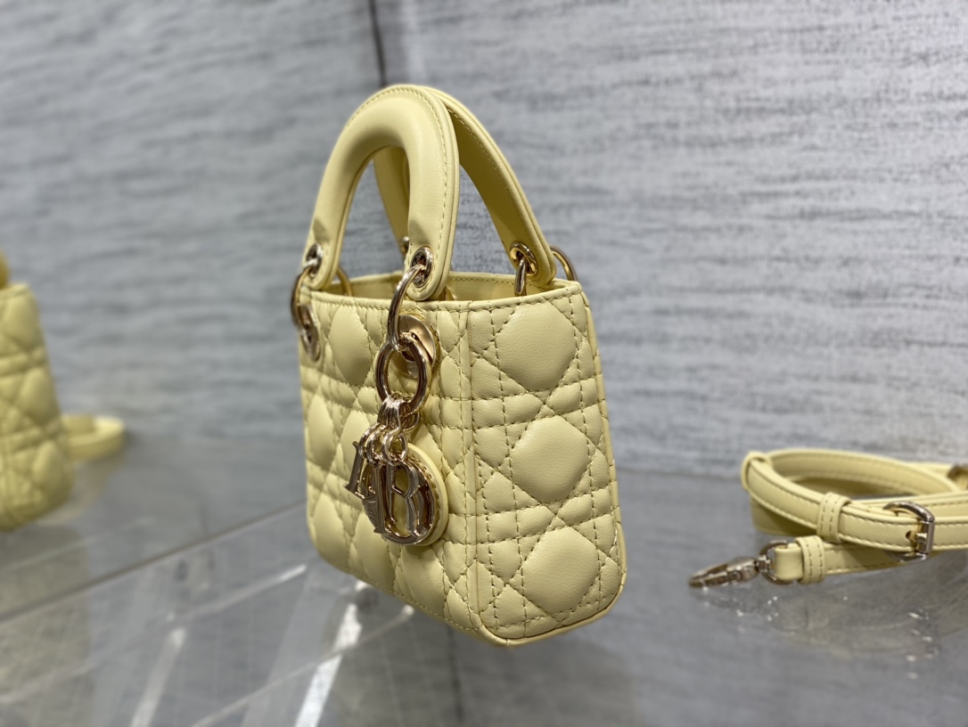 lady D*or micro bag