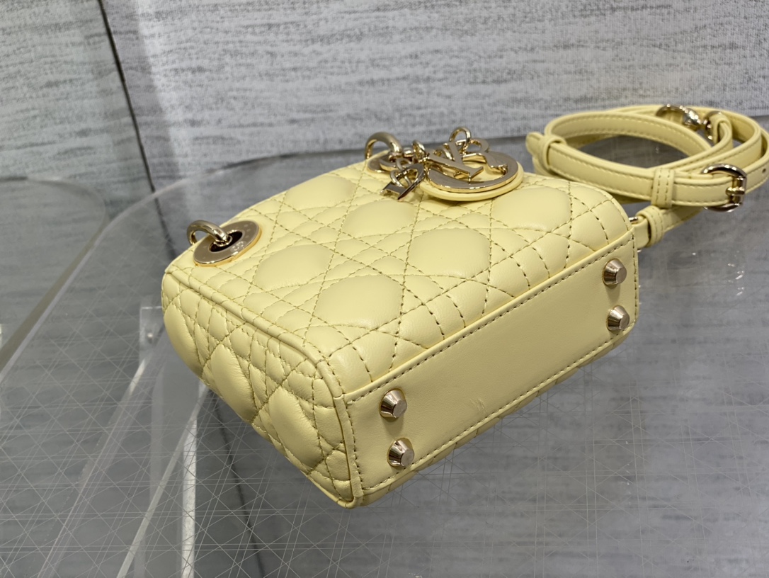 lady D*or micro bag