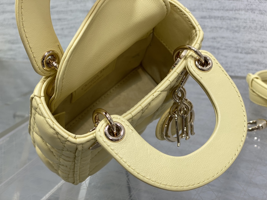 lady D*or micro bag
