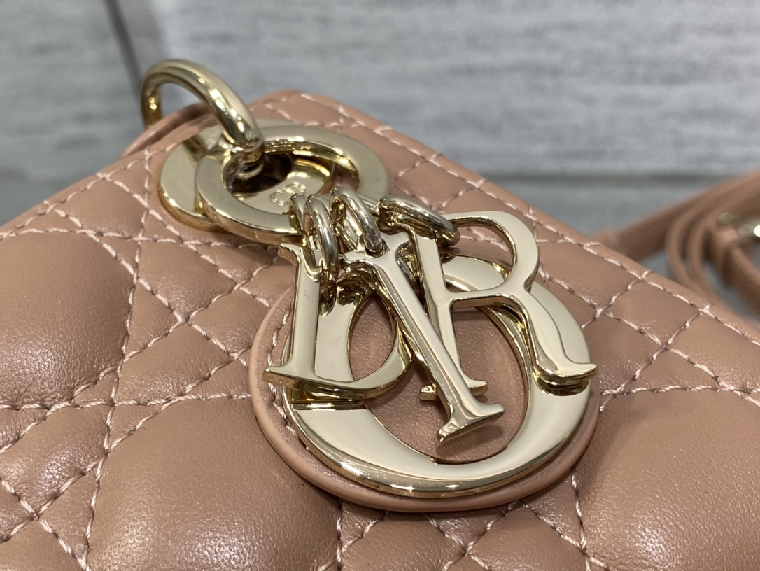 lady D*or micro bag