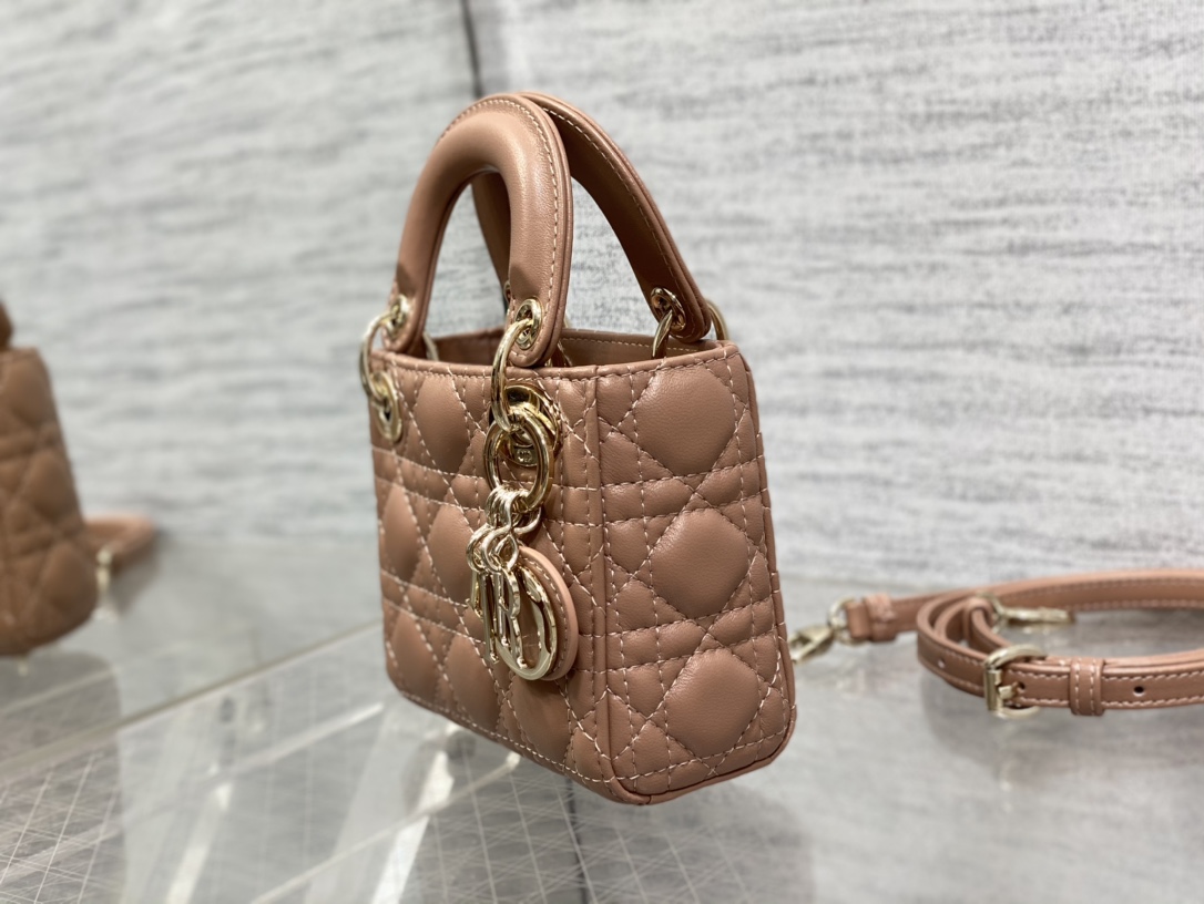lady D*or micro bag