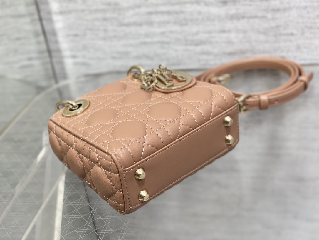 lady D*or micro bag