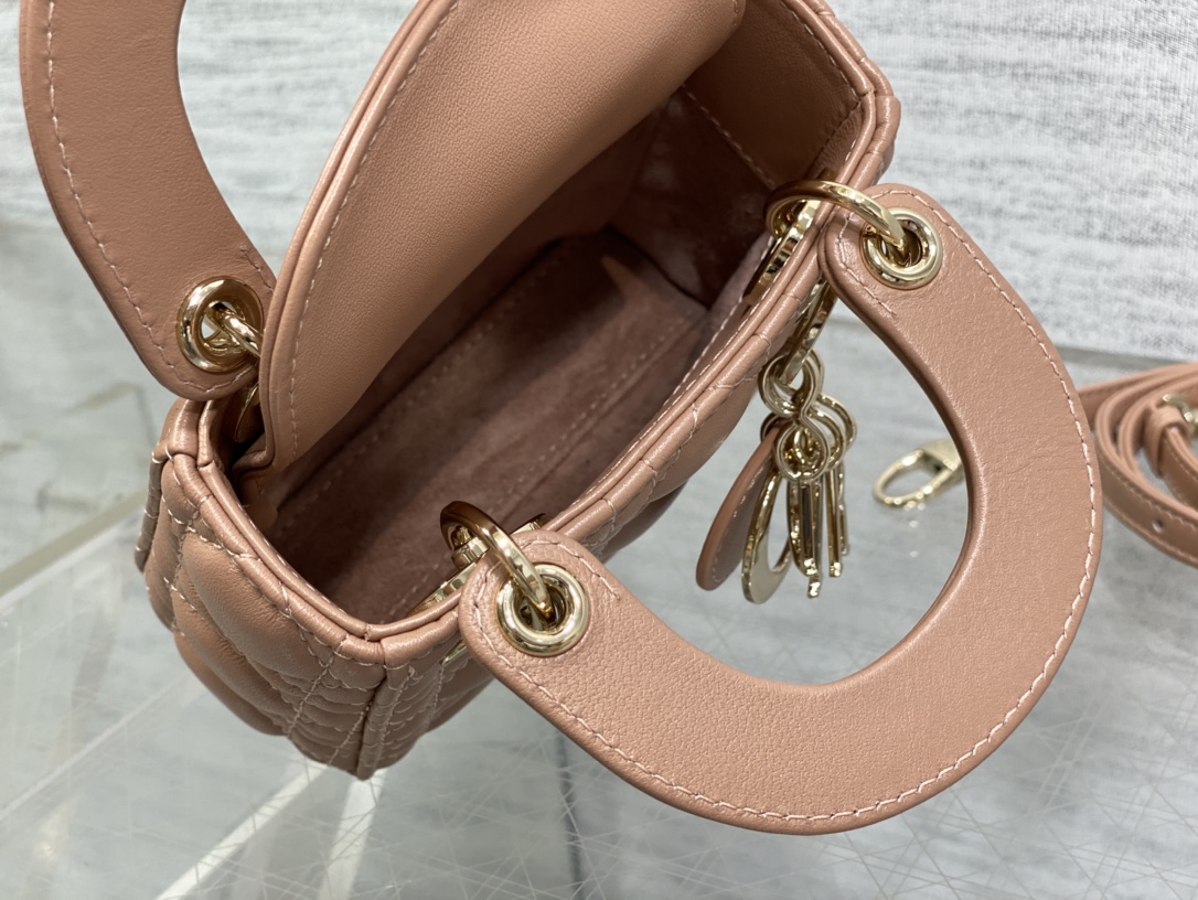 lady D*or micro bag