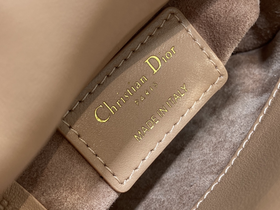 lady D*or micro bag