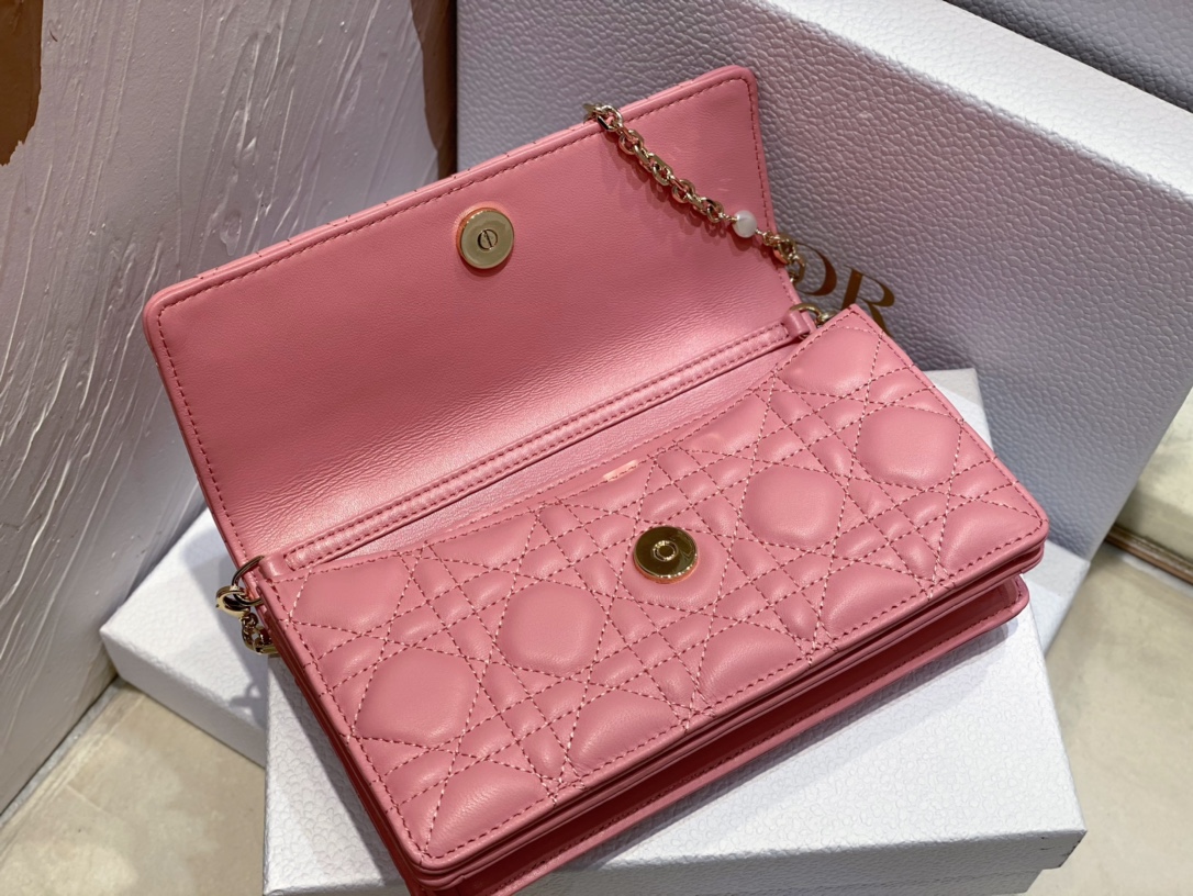 mini miss D*or bag