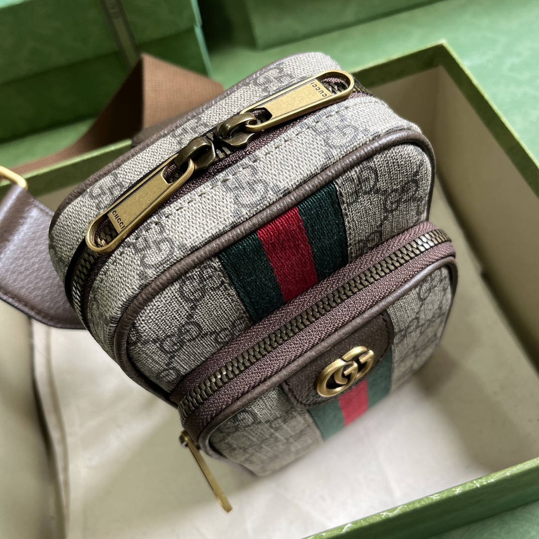 G*u*i ophidia gg mini bag