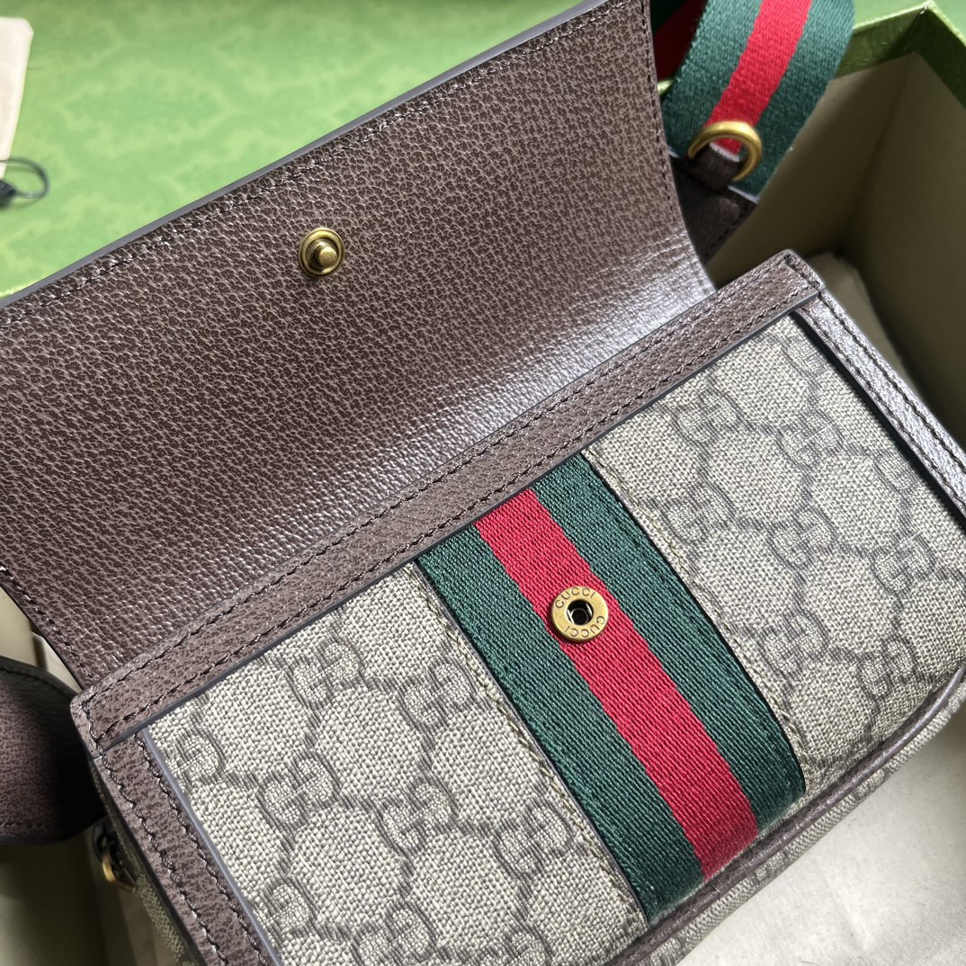 G*u*i ophidia gg mini bag
