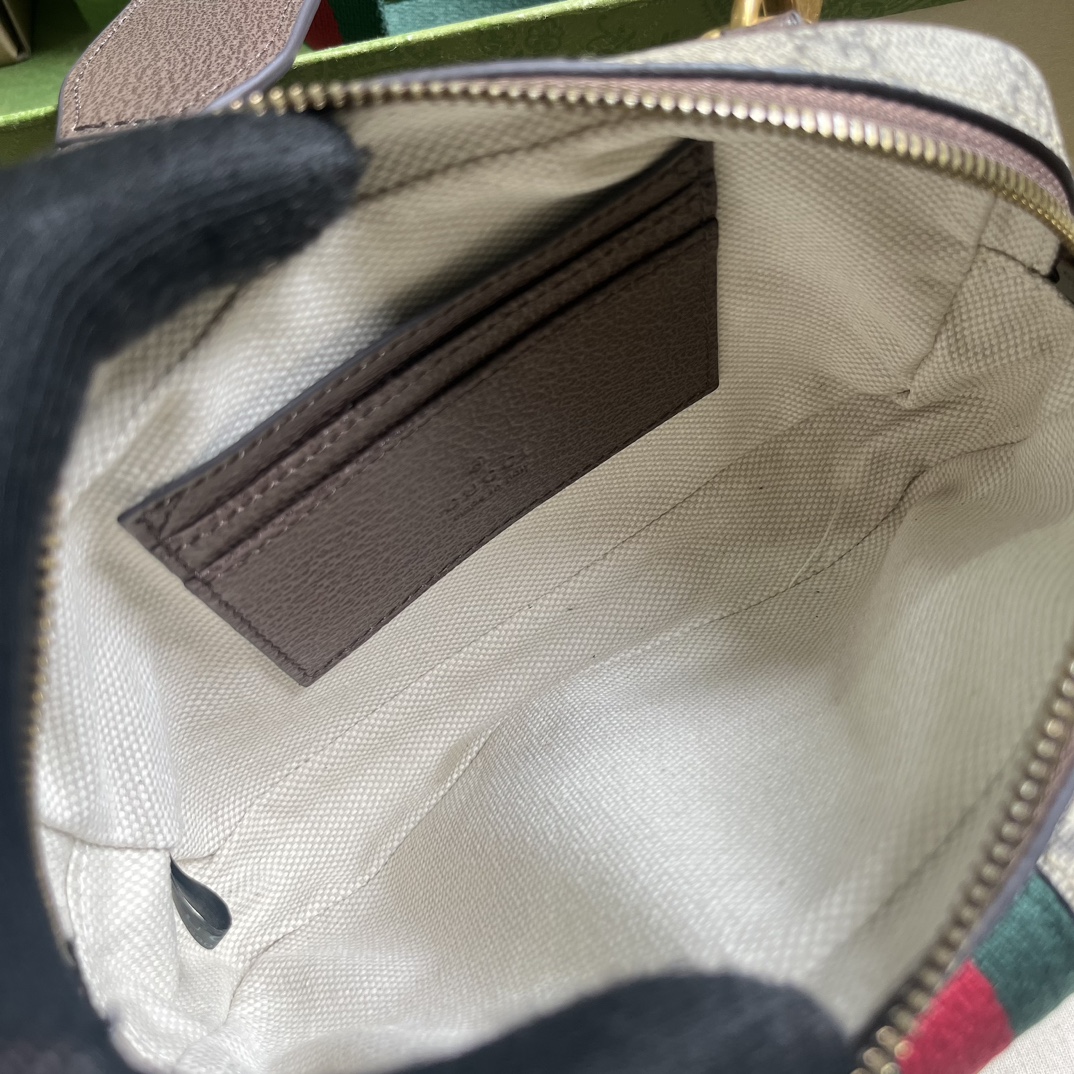 G*u*i ophidia gg mini bag